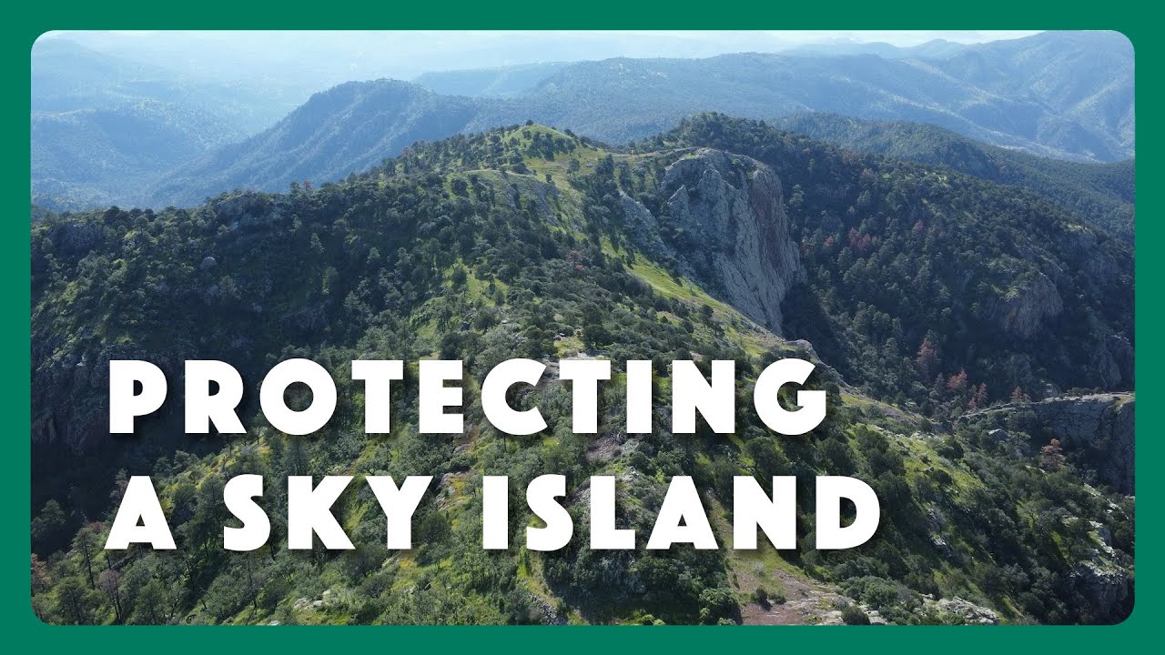 Protecting Davis Mountains