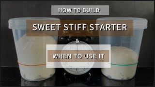 Sweet Stiff Starter  ｜ 糖硬種
