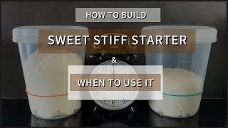 Sweet Stiff Starter   糖硬種