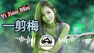 Yi Jian Mei Remix [ 一剪梅 Zi jun ] Asian New Mix 🎶🎶