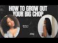 How I Grew Out My Big Chop | Natural &amp; Curly Hair