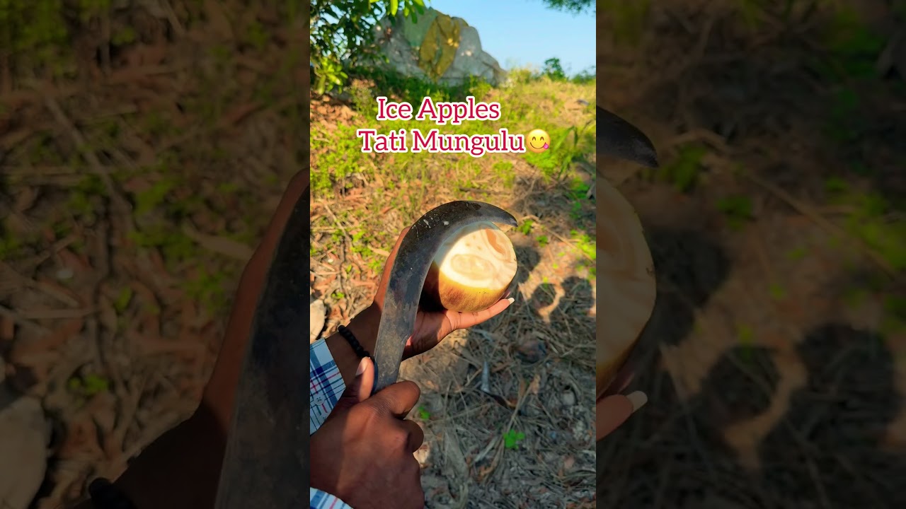 summer season special | ice apples |  tremding | youtube | friends | explore |  tati munjulu |