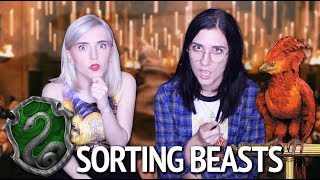 Fantastic Beasts and where to SORT Them! (Hogwarts Houses!)