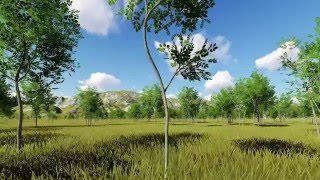 LUMION 6.3: LEAF SMALL plants collection - EVERGREEN ASH TREE (Fraxinus), part 2