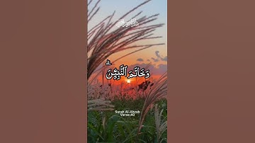 القران الكريم راحة النفسية 💖🕊تلاوة خاشعة حالات واتس اب قرآن كريم