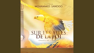 Video thumbnail of "Mohammed Sanogo - Besoin de toi"