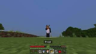 Minecraft Speedrun Until I Die (Attempt #9)