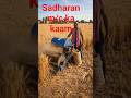 Sadharan Machine Ka Kaam..😀😀 #trendingshort #viral #reels #trend #shortvideo