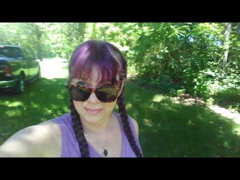 Billions of Cicada