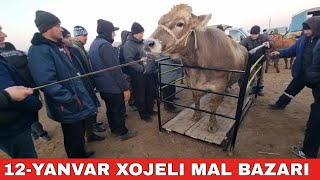 : 12-/  / /BUQALAR/BIG BULLS IN THE WORLD/BIG COW