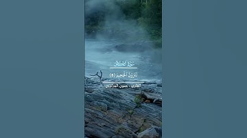 سورة التكاثر بصوت حسين الجراوين