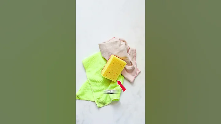 Millions of Germs in your sponge #duet #helpmemakethismakesense #shortsviral #facts