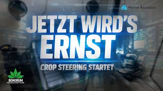 Jetzt wird’s ernst: Wir starten unser Crop Steering System (VWC-Sensor + Home Assistant)