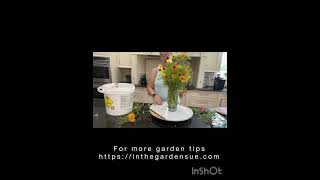 Using the color wheel to pick colors combinations to make easy flower arrangements
