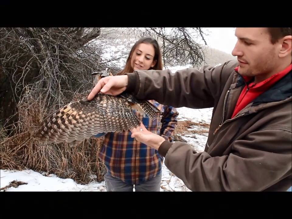EPI Spends a  Day in the Field with the Owl Research Institute