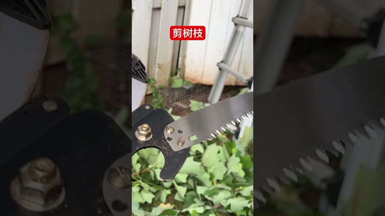 #修剪树枝