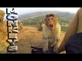 Индия. Хампи. Закат у храма обезьян. Angry ape in Hampi.Hanuman Temple. India