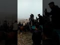 Алиш балбан Өзбекстанда улакта. Тогуз карага таштады. 25.12.2019 жыл