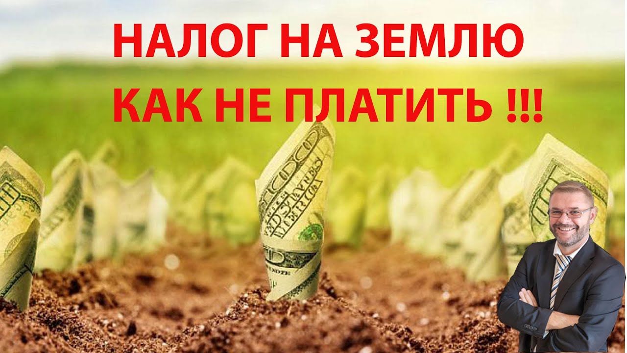 диссертации по единому сельскохозяйственному налогу