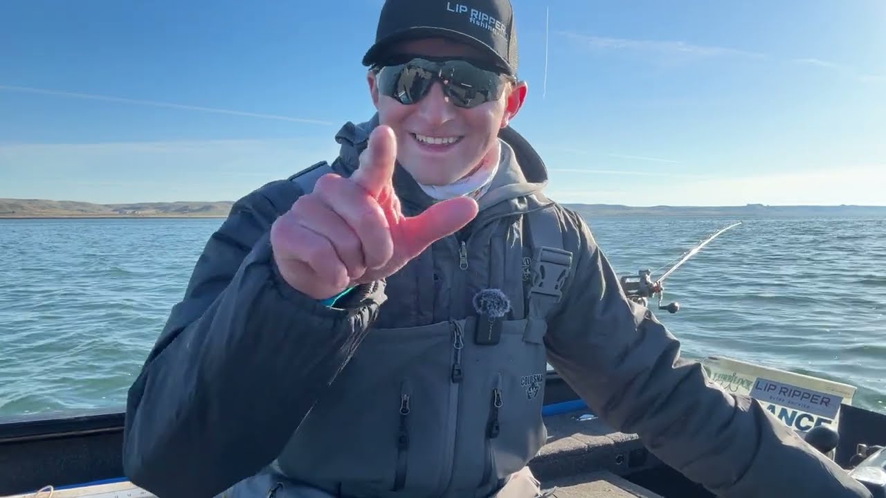 Best Crankbaits for Lake Sharpe (Size, Color, and Profile)