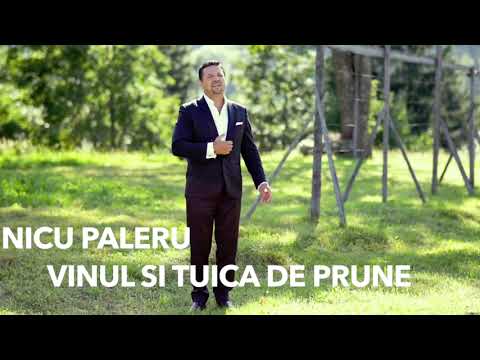 NICU PALERU - COLAJ MELODII DE PETRECERE (AUDIO HD SPIROS GALATI)