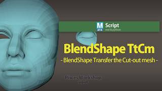 Introduction to　- BlendShape TtCm -