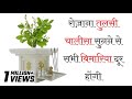 रोज़ाना ये चालीसा सुनने से सभी बिमारिया दूर होंगी | श्री तुलसी माता चालीसा