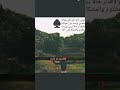 بدوي والحق يلزمني الجابري بوزايد