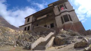 Gatico 100% Patrimonio (Video 4K)