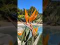 Slow Spring Sundays @ Villetta Serendipity #elba #summer #travel #italy #mare #tuscany #pool #relax