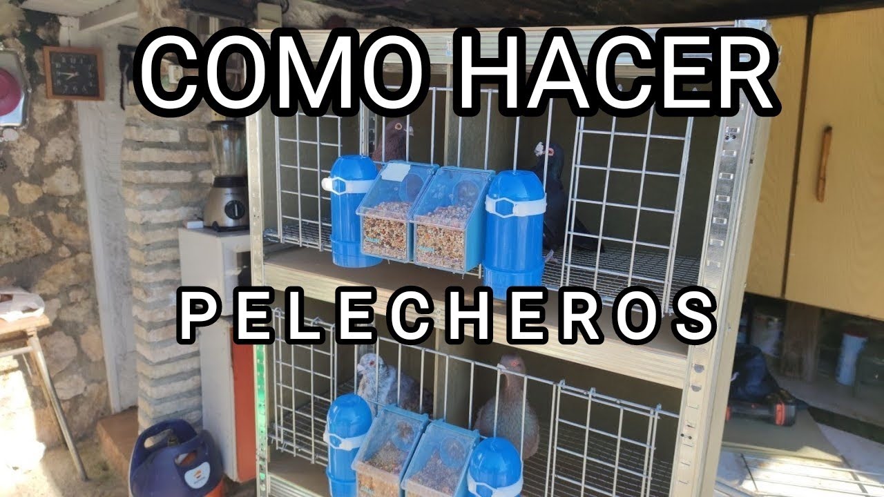 Como Hacer Pelecheros / Jaula para Palomas de Estanteria Metalica Super Economicos ‼️🕊️🕊️🕊️