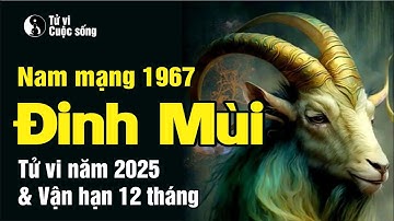 Tử vi tuổi Đinh Mùi 1967 nam mạng - Chi tiết tử vi năm 2025 & Vận hạn 12 tháng