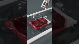 MagnetOs™ Flex Matrix | Medical Animation @Nymus3D