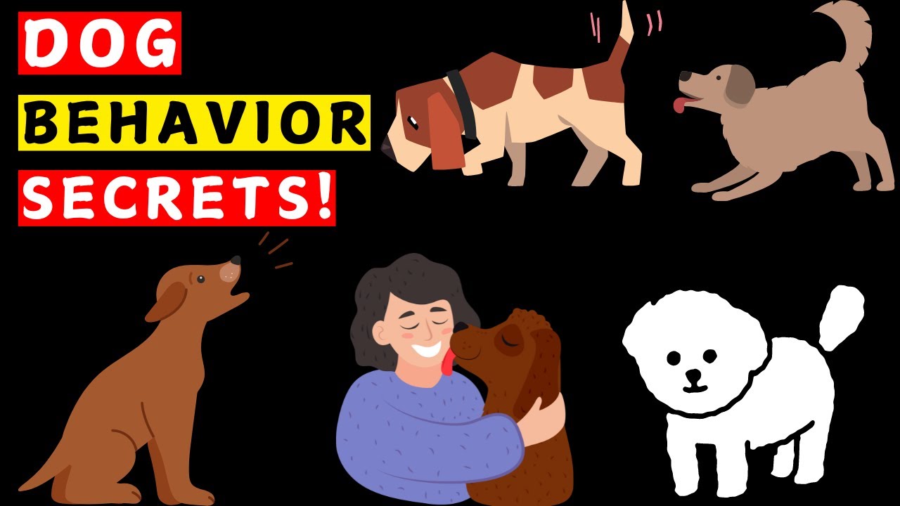 Unlock The Secrets Of DOG BEHAVIOR: What Your Dog Is Trying To Tell You!