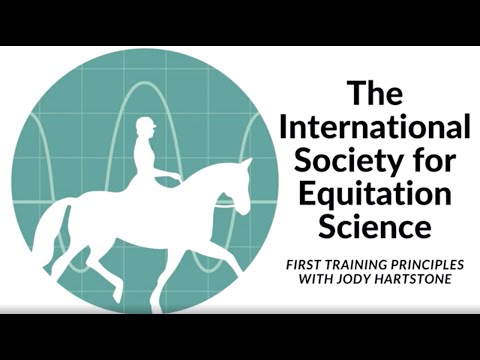 What Industry Is Horse Training
