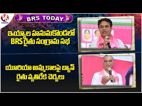 BRS Today : Rythu Sangram Sabha In Hanmakonda Today | Harish Rao On Urea | V6 News - V6NEWSTELUGU