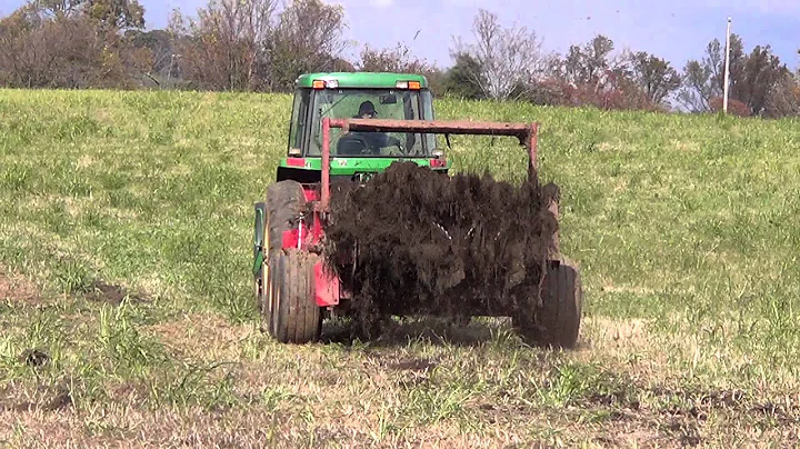 Spreading Cow Manure