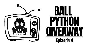 DeadMouze.TV | Ball Python GIVEAWAY
