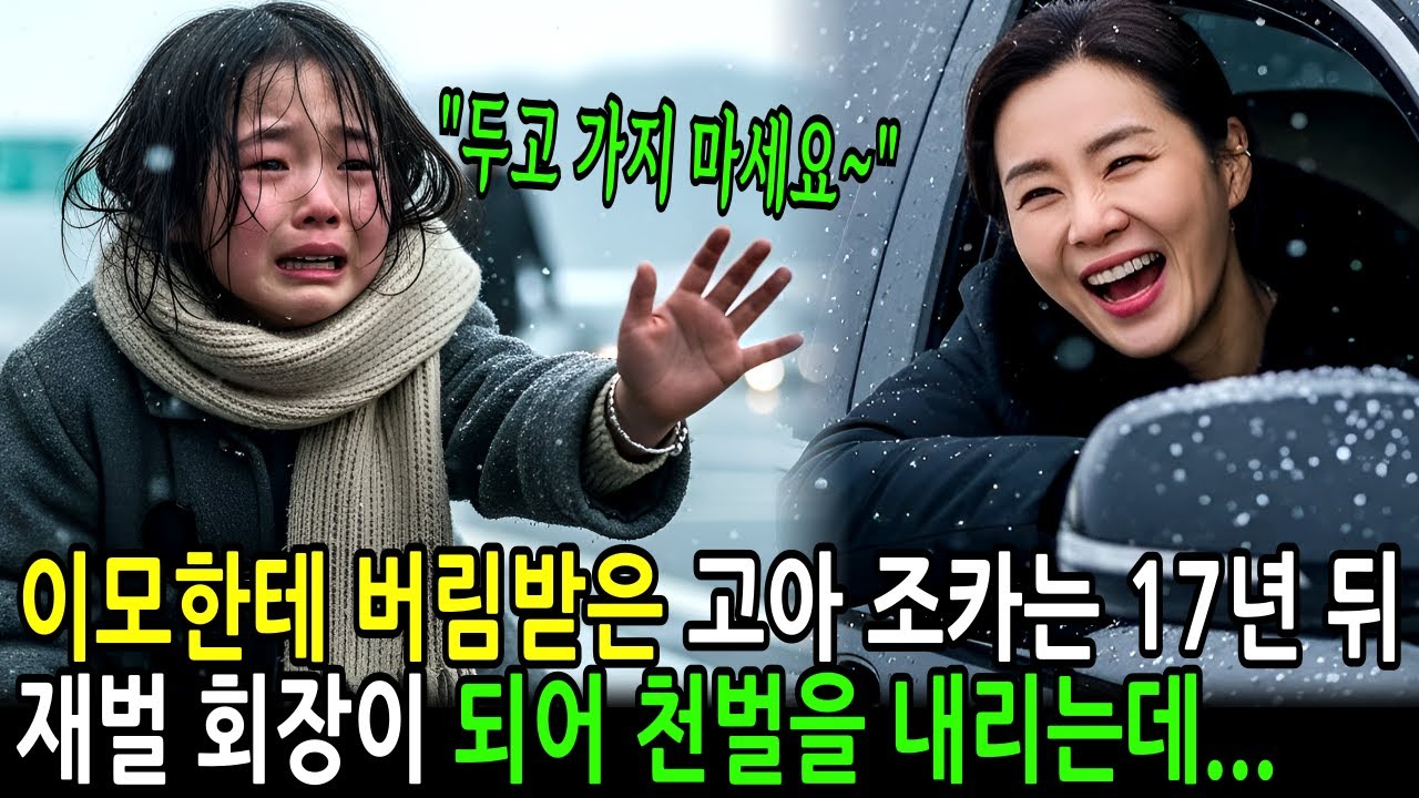 고속도로 휴게소에서 이모에게 버림받은 고아 조카, 17년 뒤 재벌 회장이 되어 나타나 천벌을 내려주는데... | 감동사연