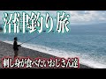 【沼津釣り旅】釣り好きの友人と沼津で大物を釣り上げるという予定を立てました。【沼津魚市場】