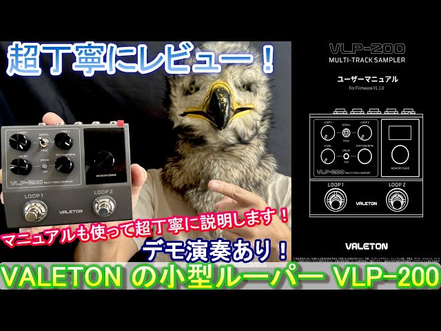 A Super Detailed Review!] VALETON VLP-200 Looper - YouTube