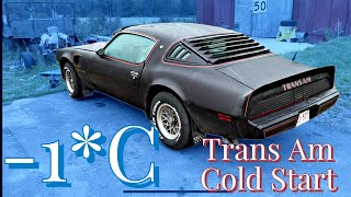 1979 Trans Am Cold Start at -1*C, no choke by Higho Stable Garage 2,363 views 8 months ago 1 minute, 31 seconds