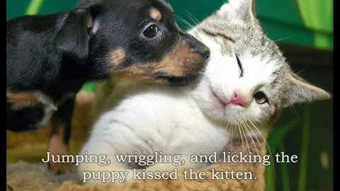 Participles and Participial Phrases