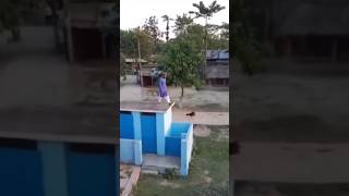 new bird found in Pakistan 🤣 #funny meme