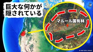 メガロドンより大きいものが森の中に隠れている？