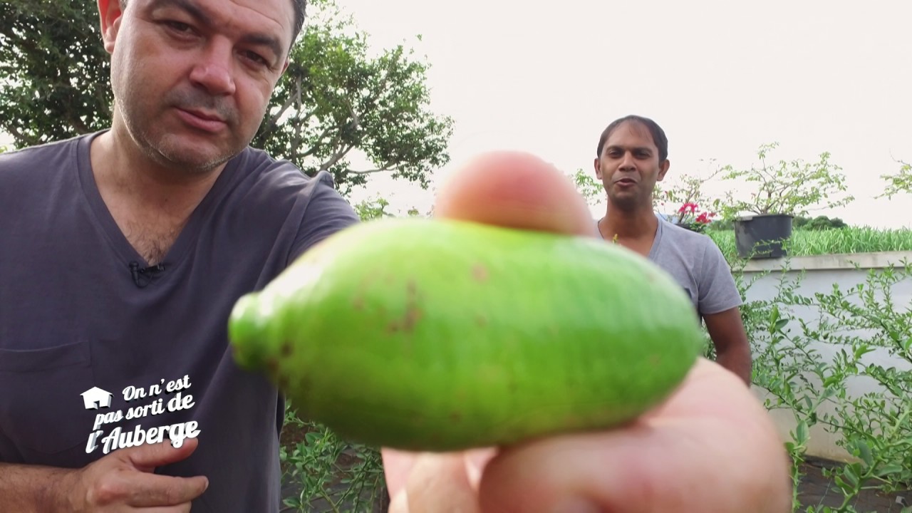 OEPSA S2 Ep 5 - Pépinière Taïlamé