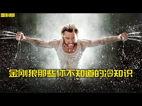 金剛狼那些你不知道的冷知識（重制版） #金刚狼 #狼叔 #X战警 #影视解说 #冷知识 #爆料
