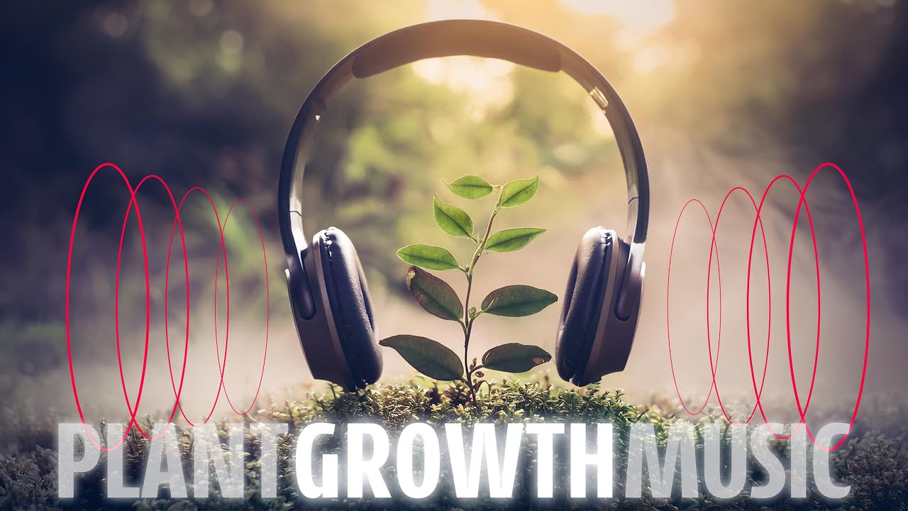 10-Hour 432 Hz Frequency MUSIC FOR PLANTS🪴Music To Stimulate PLANT GROWTH and HAPPINESS