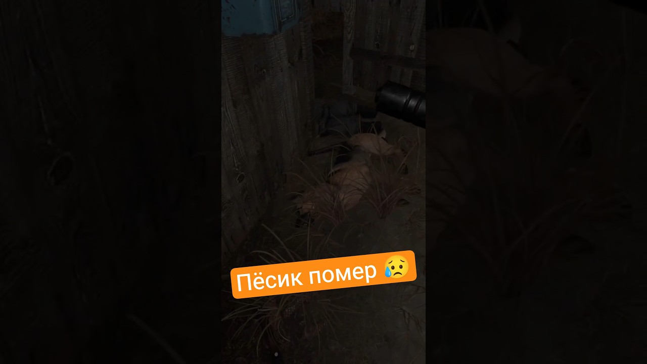 Пёсик помер 😥 