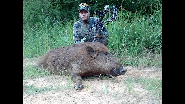 Sometimes I make the perfect shot! BIG HOG DOWN! Hunting Hogs 3/5/22 Part 2